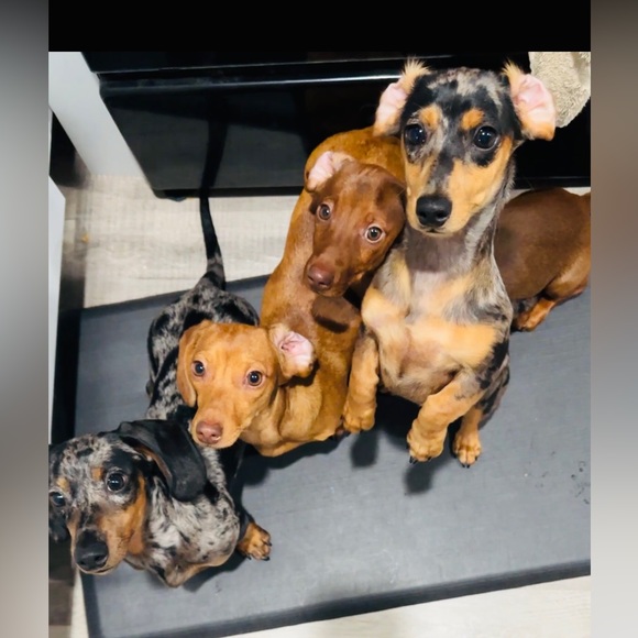 Hi Friend, I’m Christeena - Picture 14 of 16